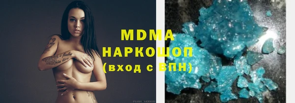 шишки Лабытнанги