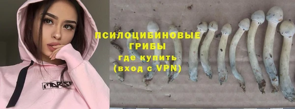 прущие крисы Белоозёрский