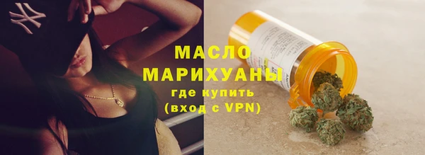 шишки Лабытнанги