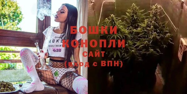 сатива Белокуриха