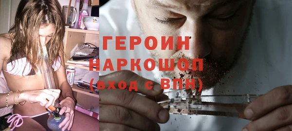 шишки Лабытнанги