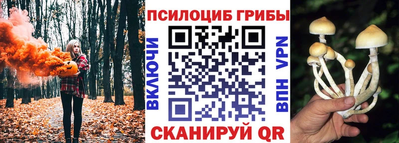 Галлюциногенные грибы мухоморы  Буйнакск 